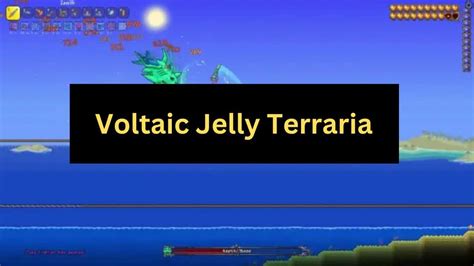 2023 Voltaic jelly calamity • Arctic - gogostarmi.online