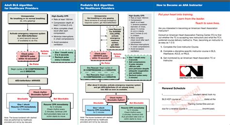 2023 Cpr Guidelines