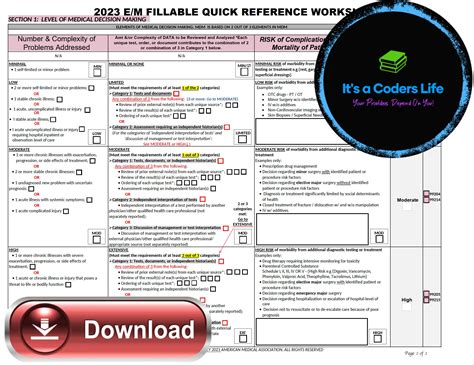 2023 E M Audit Tool
