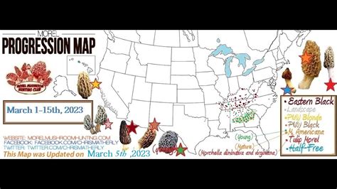 Posted Wed, Apr 12, 2023 at 2:57 pm ET. ... A good place to start the hunt is with The Great Morel’s interactive morel sightings map, which collects morel mushroom sightings by state, .... 