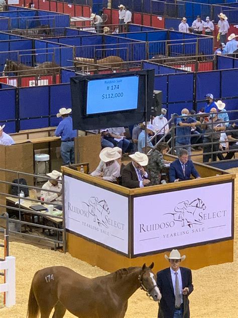 2023 ruidoso select yearling sale. September 1, 2023 ... Dark NME was an $65,000 purchase at last year's Heritage Place Yearling Sale in Oklahoma City. ... a son of Favorite Cartel purchased by owner Valeriano Racing Stables for $130,000 at last year's Ruidoso Select Yearling Sale. Trane Station V has banked $154,000 from four outs, and he ran second, 3 1/2 lengths behind Dark ... 