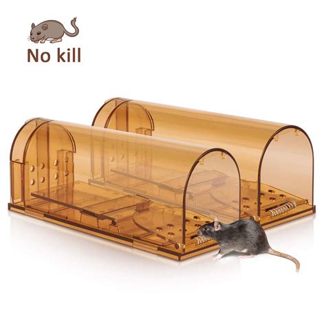 2024 Humane mouse trap & a 