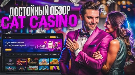 бонусы cat казино Cat casino бонусы всем новым игрокам