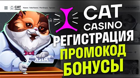 бонусы cat казино Cat Казино Промокод дает возможность всем новым игрокам получить более выгодный бонус