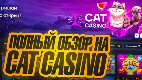 казино cat бонус код 2023  Онлайн проект Cat Casino появился сравнительно недавно, летом 2021