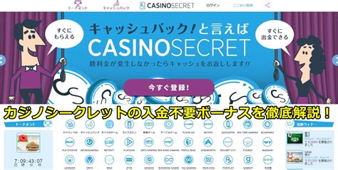 カジノシークレット 銀行送金 土日  最高500ドルまでもらえる