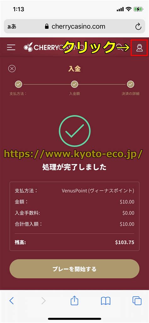 チェリーカジノ エコペイズ 入金 オンラインカジノからエコペイズに出金