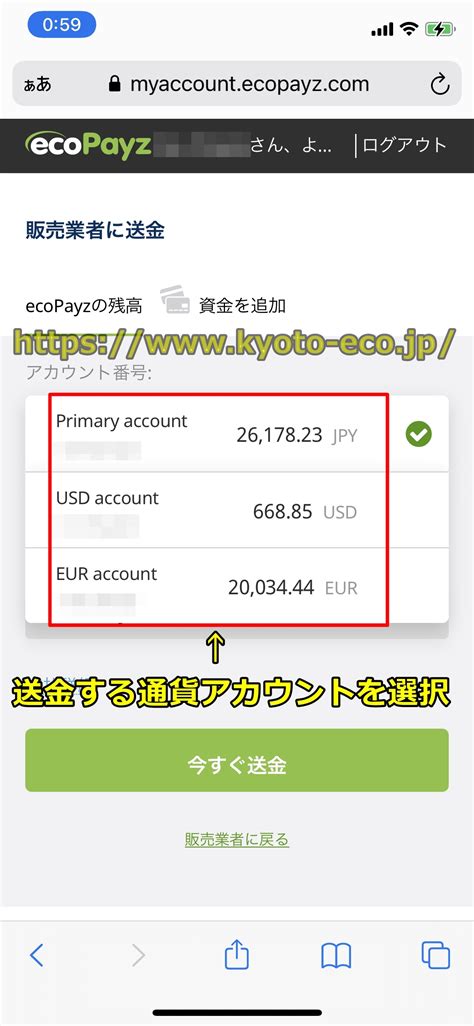 チェリーカジノ エコペイズ 入金  ecoVoucher（エコバウチャー）