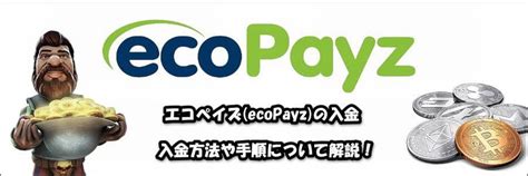 パイザ エコぺイズ 手数料  入金手段