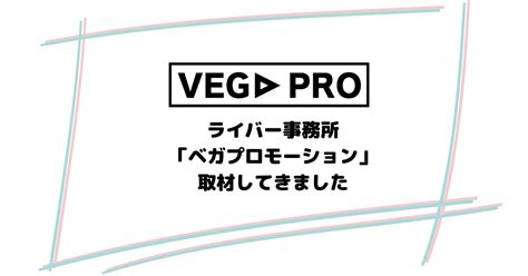 ベガプロモーション 悪評  の評判やメリットを徹底的に解説 していきます