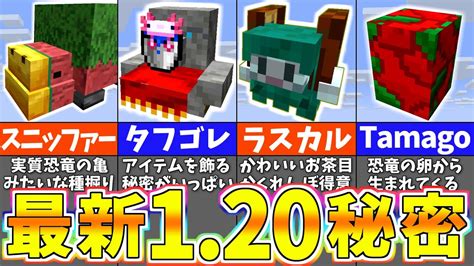 マイクラ 1.20.20 いつ 20】が行われました！ アップデートに関する内容を以下で詳しく解説していきます。Fabric for Minecraft 1