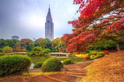 東京 タワー  他にもたくさん都内の休憩場所を調べてま