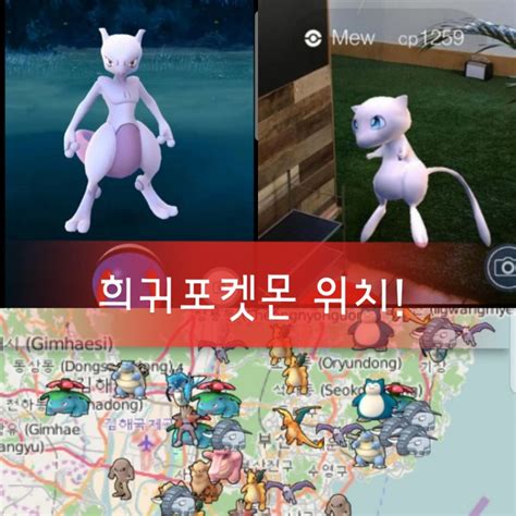 포켓몬고 실시간 좌표 사이트 2023 실시간 포켓몬 위치 지도 정보 (서울/부산) 3