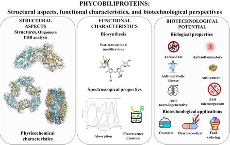 +44 20 8089 4751 The human leukocyte antigen (HLA) system is a cluster of gene complex encoding the major histocompatibility complex (MHC) proteins known as antigens located on the cell membrane of leukocytes in humans from which its name was derived