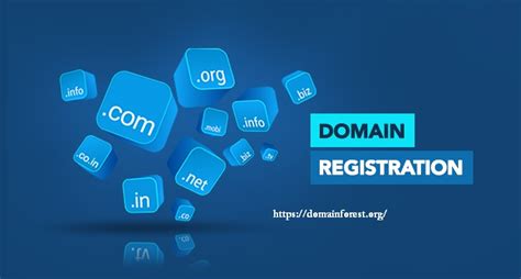 .nr domain registration  Domains are $12