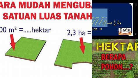 1 hektar berapa ton  Ha ke are jika dihitung akan turun sebanyak 2 tangga jadi satuannya akan dikalikan 100