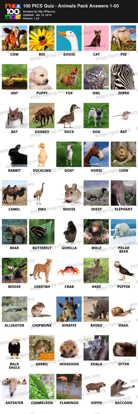 100 pics quiz answers animals  Level 1: Wasp Level 2: Koala100 Pics answers and cheats for Animal Kingdom 1 levels 81-100 of the popular game for iOS and Android by developer Poptacular