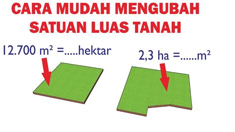 1000m berapa hektar 58ft²