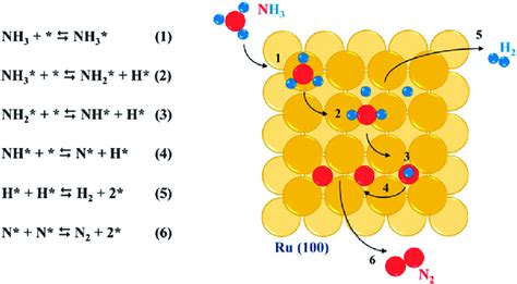 11 5349-6244 DOI: 10