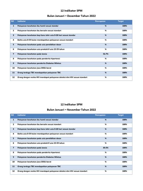 12 indikator spm kesehatan  standar