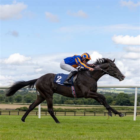 2000 guineas 2024 The 2024 QIPCO 1000 Guineas will be staged on Sunday 5 May 2024