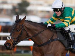 2019 grand national runners Anibale Fly is a high-class horse on his day, having finished 2nd in the 2019 Cheltenham Gold Cup prior to finishing a good 5th placing under top weight in the Grand National the following month