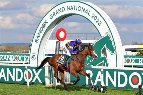 2019 grand national runners and riders Last year's winner Tiger Roll is among the final 40 declared runners for Saturday's Grand National at Aintree