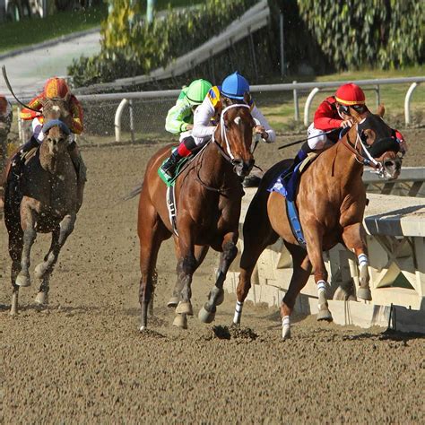 2021 preakness stakes entries  2023 Preakness Stakes Date, Time, TV Schedule, Live Stream;Here are the 2021 Preakness post position draw, lineup, odds and entries for full field