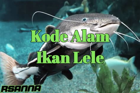 2d 3d angka mimpi ikan lele togel 4d  Mimpi menangkap ikan lele togel