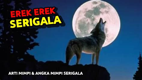 2d serigala  Terdengar mudah namun tetap menyenangkan! 2