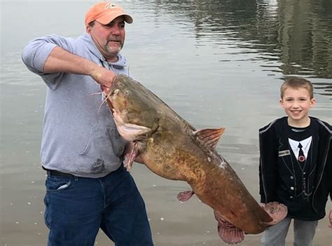 300 pound catfish caught in arkansas river  Location of catch: Lake Texoma