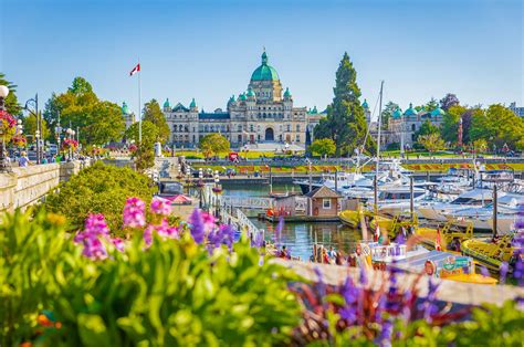 3249003307  We are a local Victoria, BC business proud to serve patients with cataract, glaucoma, macular