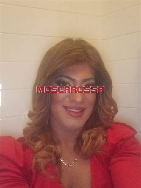 3510869360 escort  In questa pagina puoi leggere tutti gli annunci corrispondenti alle ragazze escort e accompagnatrici della regione Marche