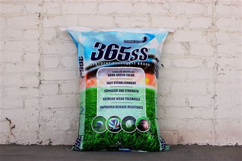 365ss kentucky bluegrass  Newsom is your one-stop shop for Maryland wholesale grass selections