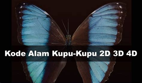 3d 4d kode alam kupu kupu  Petinju = 29 – 116