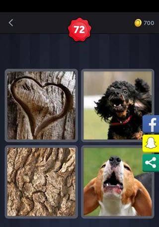 4 pic 1 word level 73  4 Pics 1 Word Level 145 Answer