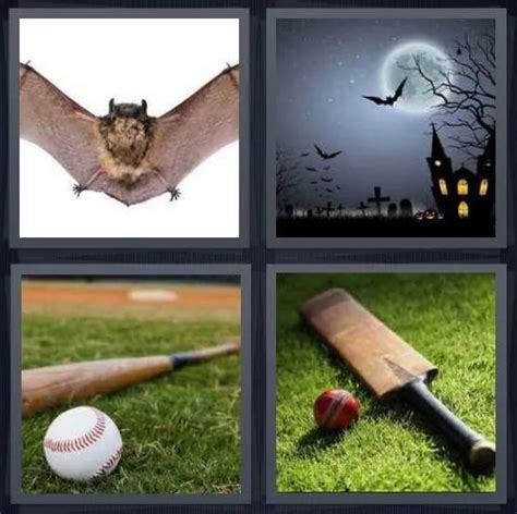 4 pics 1 word pigs  4 pics 1 word daily puzzle