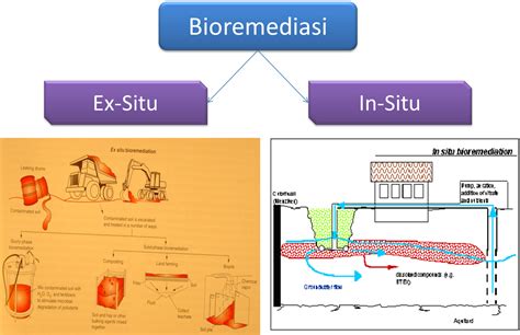 5 contoh bioremediasi Bioremediasi diartikan sebagai proses penetraan sifat bahan organik berbahaya secara biologis menjadi senyawa lain seperti karbondioksida (CO2), metan, dan air (Citroeksoko, 1996)