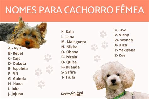 50 nomes para cadelas  43 nomes latinos de cães