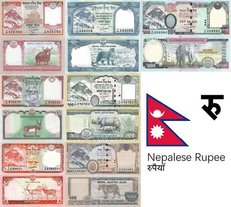 60dollars in nepali rupees  Euro to Nepalese Rupee conversion — Last updated Nov 19, 2023, 19:22 UTC