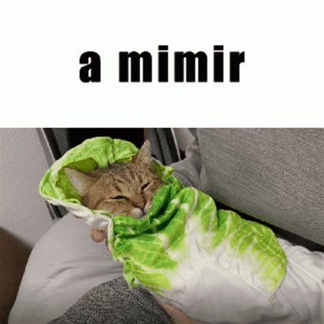 A mimir meme However, you can also upload your own templates or start from scratch with