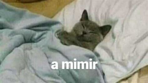 A mimir meme  mimimi1