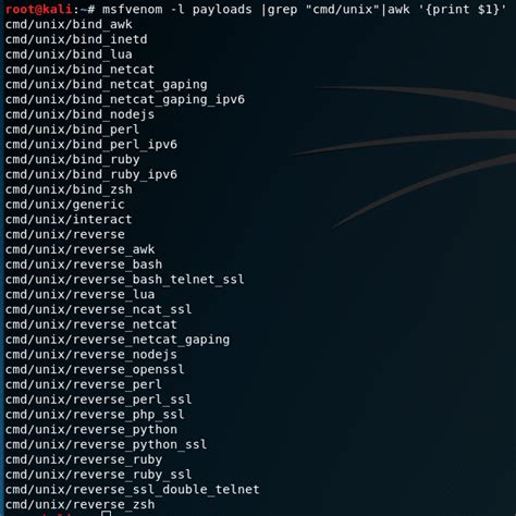 A tech uses the netcat tool on a linux system Technical details