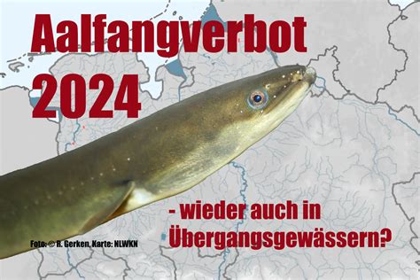 2024 Allegations AAL - Response to FoE US and WALH - wintechmobiles.com