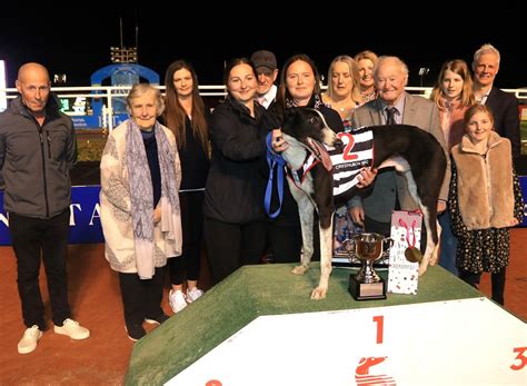 Addington greyhound results  See the official Addington greyhound race results for 03 November 2023 including finishing order, margins, starting odds and more at Punters! Addington Park