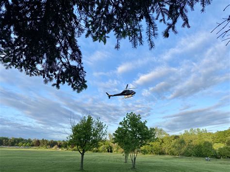 2024 Aerial Spray Program – City of Mississauga