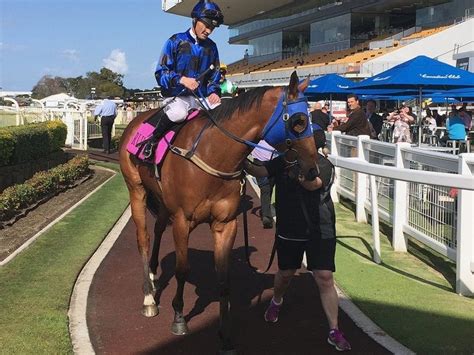 Aj moir stakes odds Moonee Valley will be the centre of the horse racing world this weekend but it is not Australasia’s best race, the WS Cox Plate, that is the most attractive event from a punting perspective at the tight track in