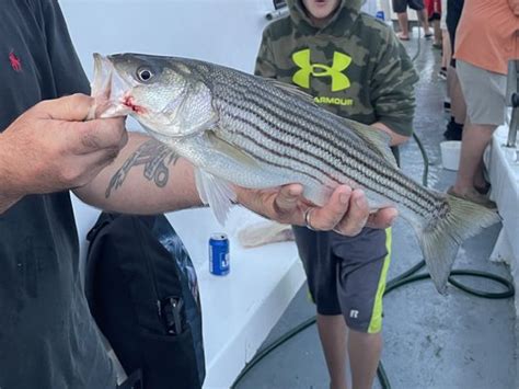 Al gauron deep sea fishing  We caught lots of Haddock and really enjoyed the trip