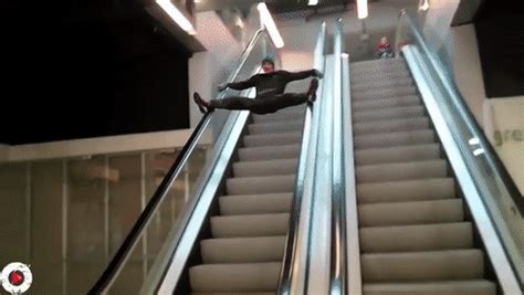 Alan hangover escalator gif  Stu argues with his wife