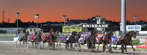 Albion park trots results  “Had to fly home myself, got a big